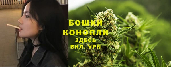 ГАЛЛЮЦИНОГЕННЫЕ ГРИБЫ Белокуриха
