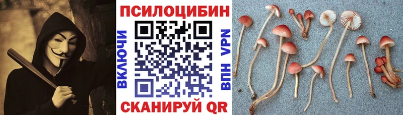 Псилоцибиновые грибы мухоморы  купить наркотик  Чернушка 